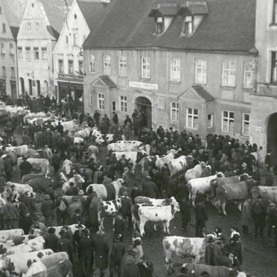 Bild vergrößern: Viehmarkt am Oberen Stadtplatz