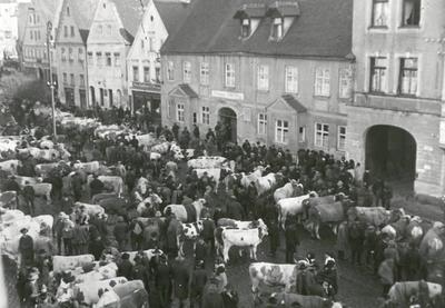 Bild vergrößern: Viehmarkt am Stadtplatz