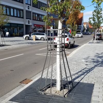 Bild vergr��ern: Baum an der Augsburger Stra�e